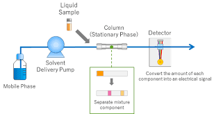 High Performance Liquid Chromatography