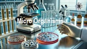 Micro Organisms